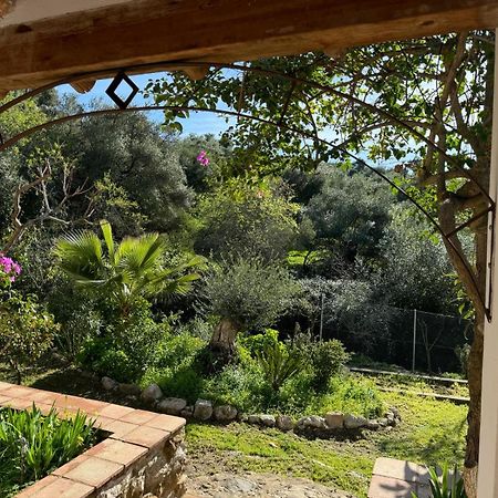 Vila La Fontana Cortes de la Frontera Exteriér fotografie