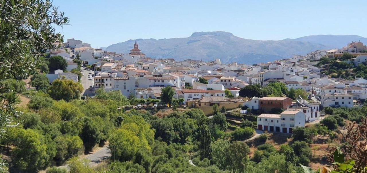 Vila La Fontana Cortes de la Frontera Exteriér fotografie