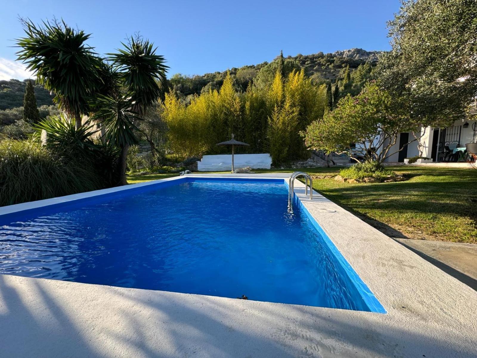 Vila La Fontana Cortes de la Frontera Exteriér fotografie