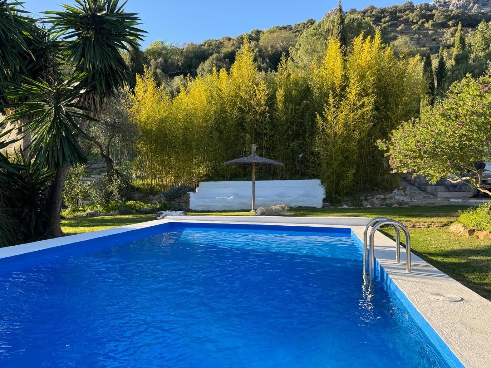 Vila La Fontana Cortes de la Frontera Exteriér fotografie