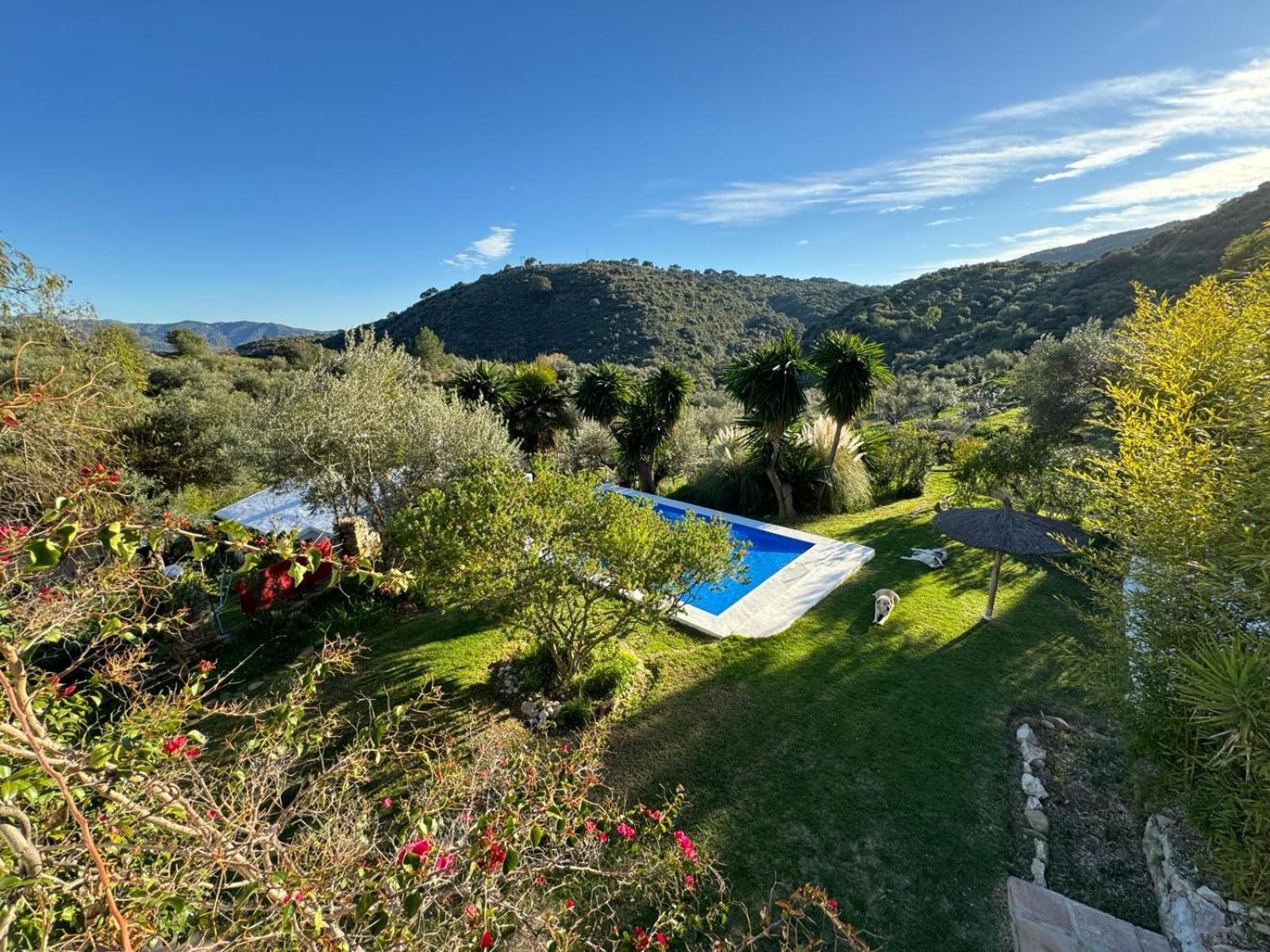 Vila La Fontana Cortes de la Frontera Exteriér fotografie