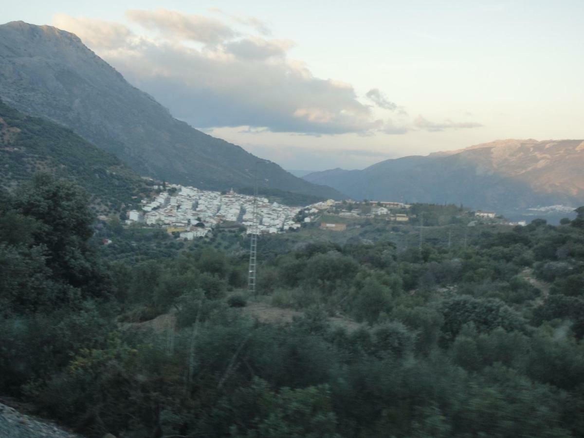 Vila La Fontana Cortes de la Frontera Exteriér fotografie