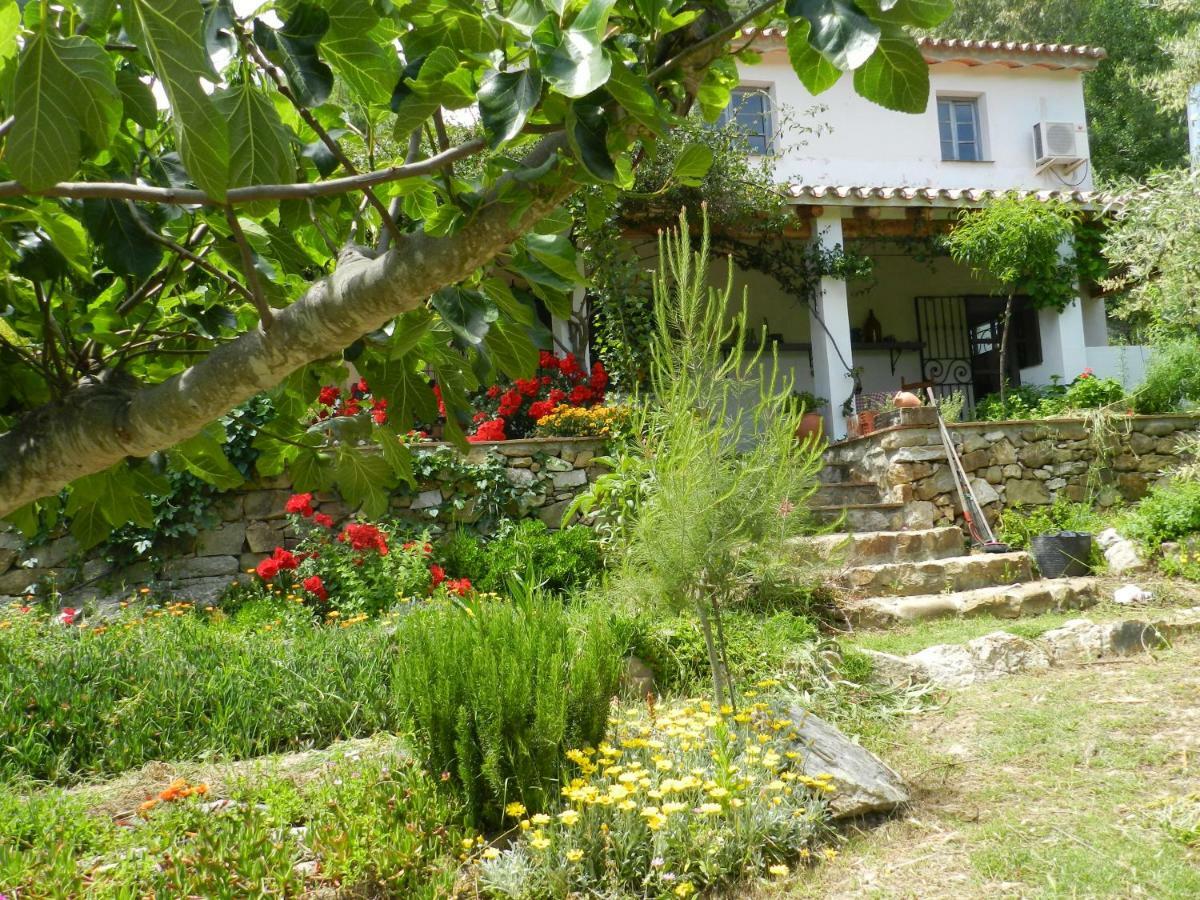 Vila La Fontana Cortes de la Frontera Exteriér fotografie