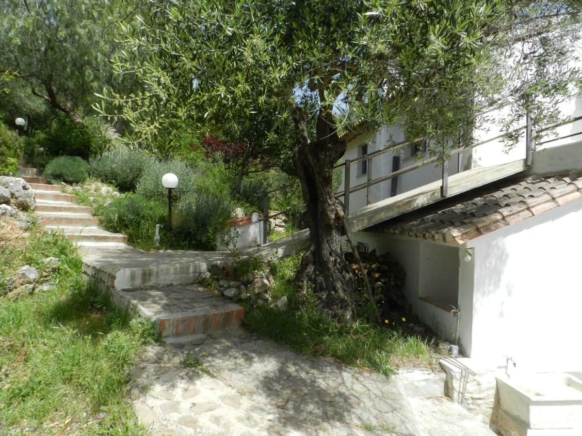 Vila La Fontana Cortes de la Frontera Exteriér fotografie