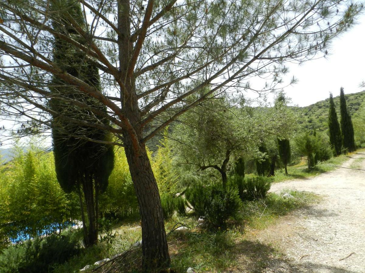 Vila La Fontana Cortes de la Frontera Exteriér fotografie