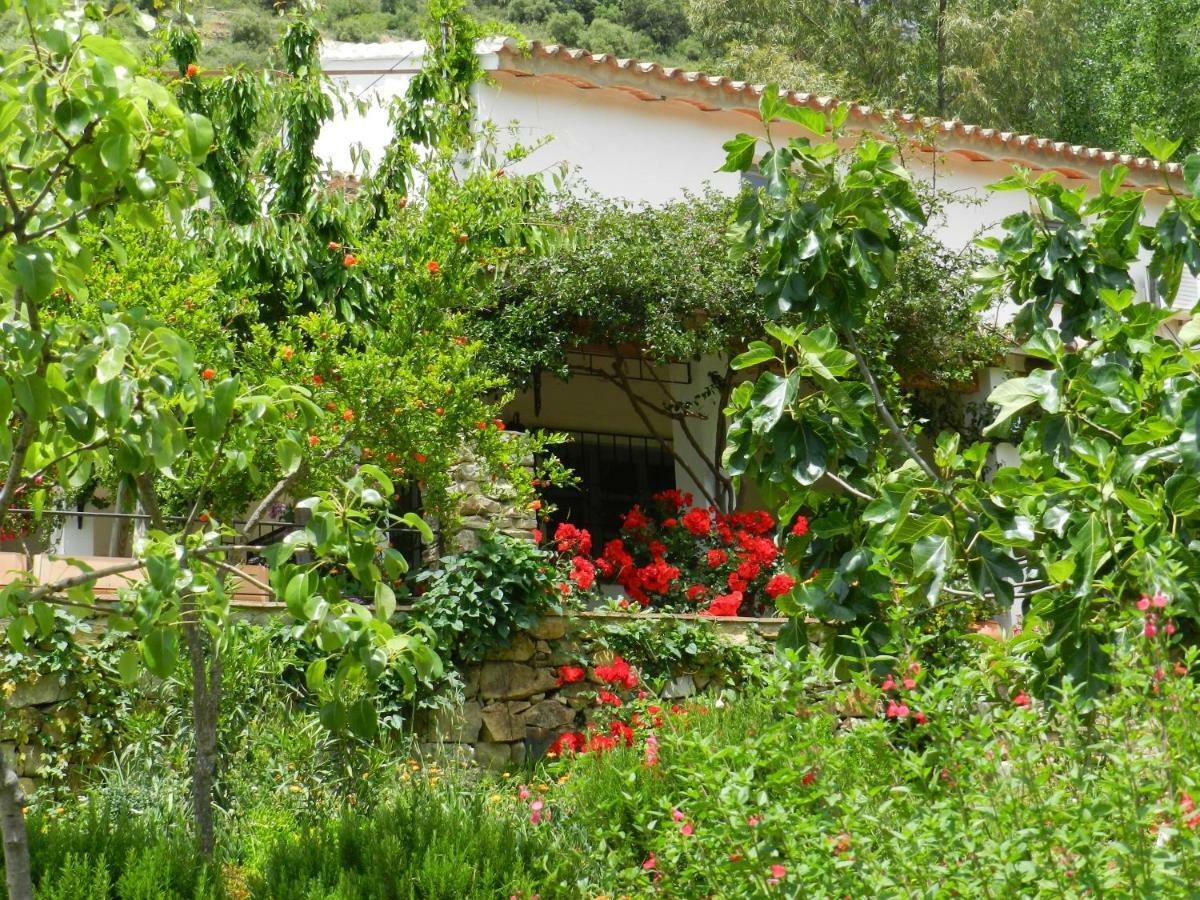 Vila La Fontana Cortes de la Frontera Exteriér fotografie